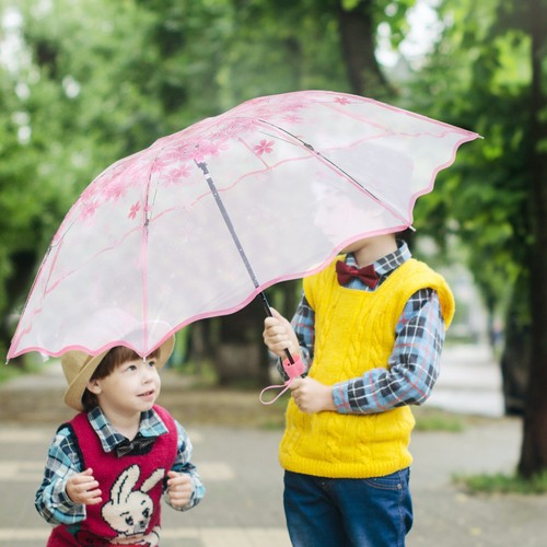Parapluie pliant transparent - parapluie,