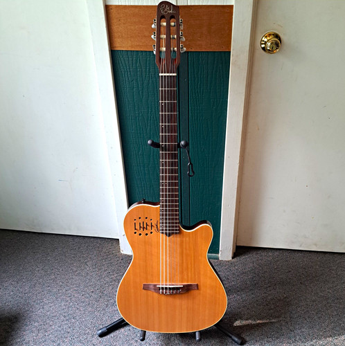 Near mint godin - near,