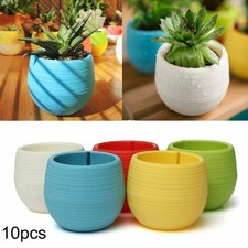 10 Mini Plante Fleur Pot