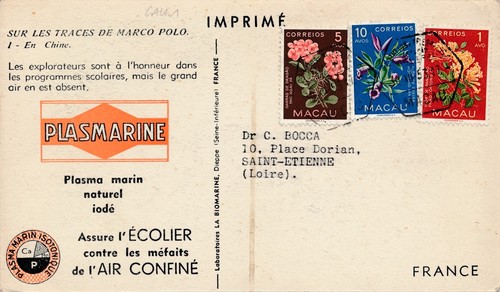 Carte imprimé plasmarine - carte,