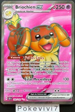 Carte Pokemon BRIOCHIEN