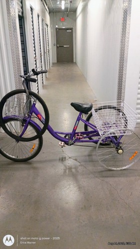Purple adult tricycle - purple, with