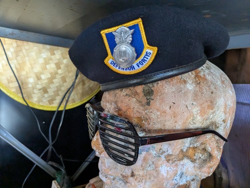Security forces defensor - security,