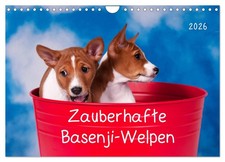De charmants chiots basenji (Calendrier mural 2026 DIN A4 horizontal), CALVENDO 