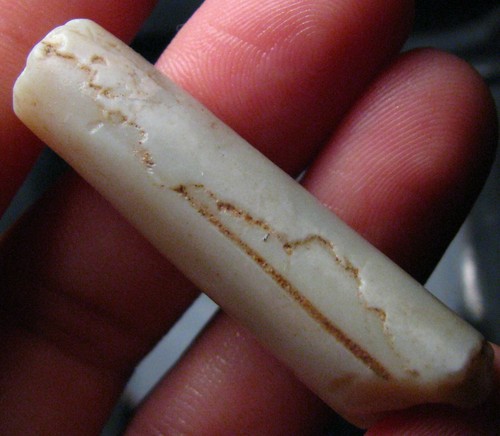 Fossile pipe belemnite - o&co,