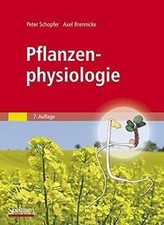 Pflanzenphysiologie de Peter Schopfer | Livre | état très bon