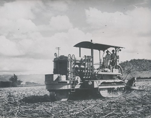 Los caños 1950 - c.,