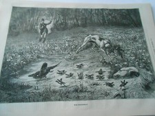 Gravure 1876 - Chasse le chien