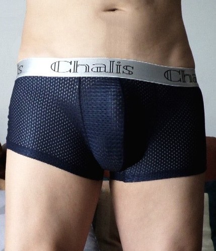 Boxer chalis subtilement - chalis,