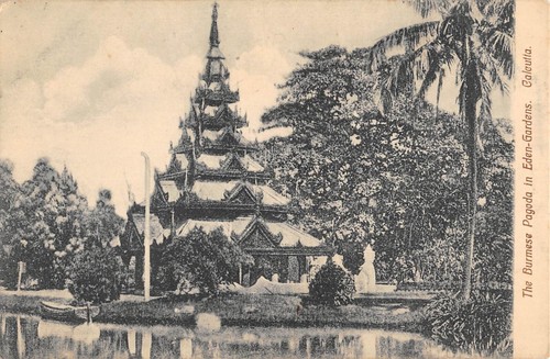 Cpa inde the burmese - cpa, in