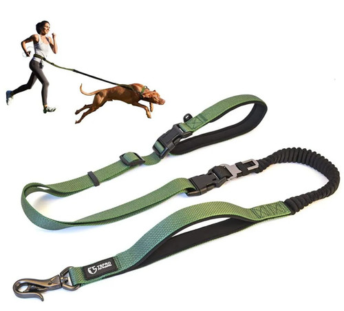 Laisse chien mains libres - mains,