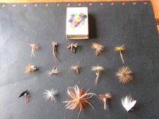 15 véritables mouches de