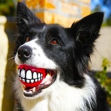 Balle Jouet Chien Rigolote Squeak avec Dents Anti-Stress & Anti-Ennui Aléatoire