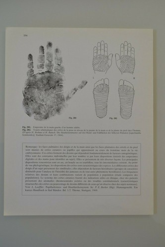 Planche anatomie humaine la - d'anatomie,