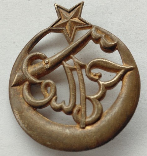 Insigne régiment de - insigne,