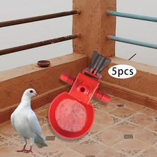 5 pièces volaille poulet eau