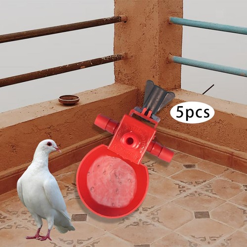 Pièces volaille poulet eau - 5,