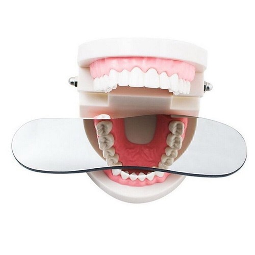 Intraoral orthodontic - intraoral,