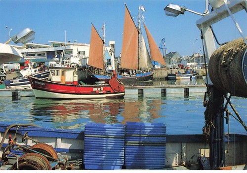 Turballe san49996 port - 44, #san49996