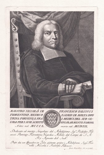 Niccolo falcucci médecin - falcucci,