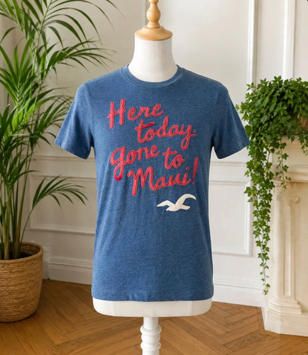 Tee shirt hollister - tee-shirt, "maui"