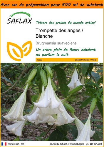 Saflax jardin dans sac - jardin,