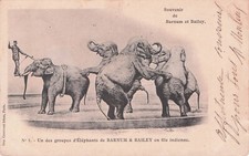 Carte postale ancienne postcard CIRQUE BARNUM ET BAILEY éléphants timbrée 1902