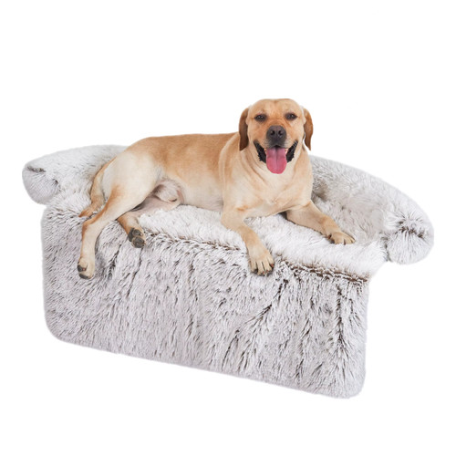 Vip pet dog - vip,