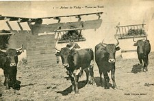 Carte arènes vichy toros - carte,