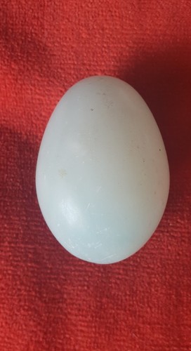 Oeuf jade vert très - oeuf,