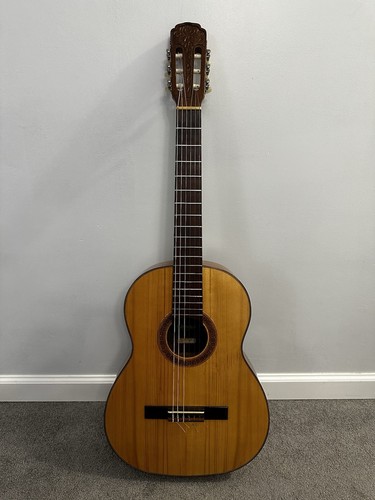 Vintage 1979 giannini awn - vintage,