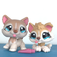 Authentic Littlest Pet Shop