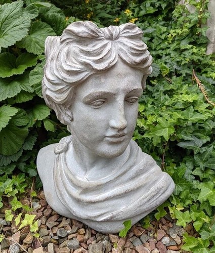 Buste plantes pot de - buste,