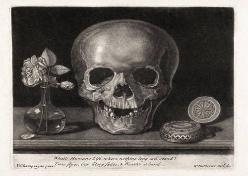 Crâne nature morte - crâne, de