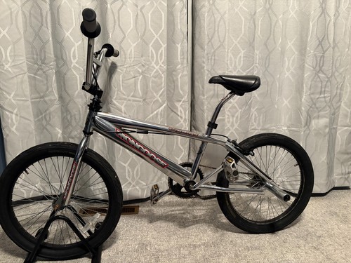 Mongoose convict - mongoose,