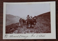 Photographie ancienne 1899  Pic D'Ayré Pyrénées Montagne randonnée ânes