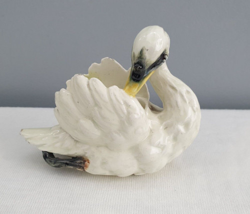 Cygne vallauris jerome massier - vallauris,
