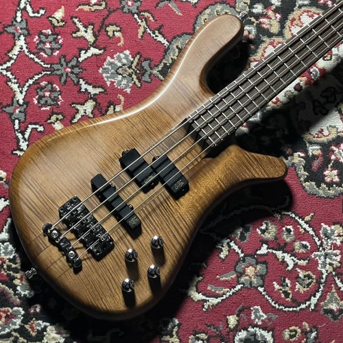 Warwick teambuilt pro - pro, series