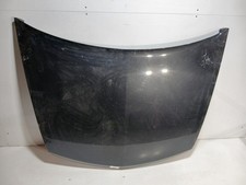 capot  RENAULT VEL SATIS BJ0