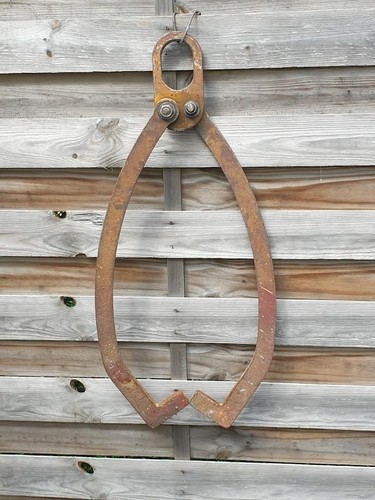 Pince bûche forestière de - forestière,