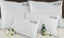 Oreillers à plumes Sampur enveloppant et confort en apesanteur