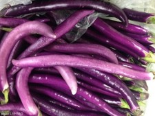 Lot De 25 Graines Aubergine