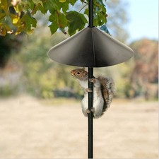 Mangeoire à oiseaux