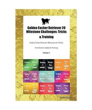 Golden Cocker Retriever 20