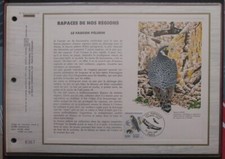 France CEF de 1984 N°742 FAUCON PELERIN (2340)