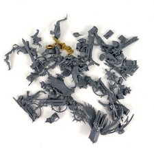 x1 Rabiot Plastique Warhammer AOS | P-00JCA