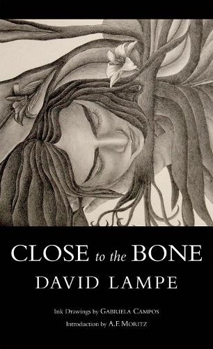 David lampe close the - david,