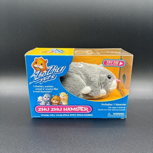 New zhu hamster - zhu, pets