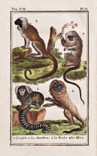 Pinceau Affe Monkey Ouistiti