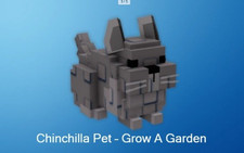 Chinchilla grow a - ✅chinchilla, 🔥grow